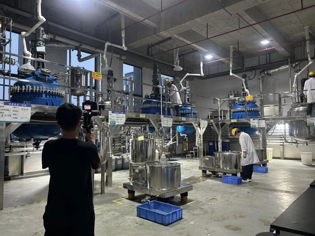 1764928256418792.jpg 6.jpg