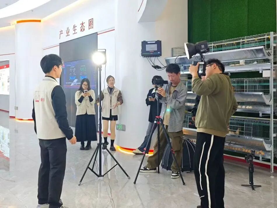 1764929549948175.jpg 2.jpg